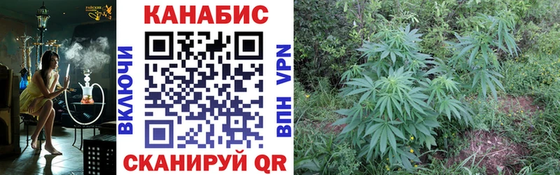 blacksprut вход  Лангепас  Канабис семена  сколько стоит 